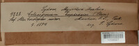 Image Associated With the Occurence